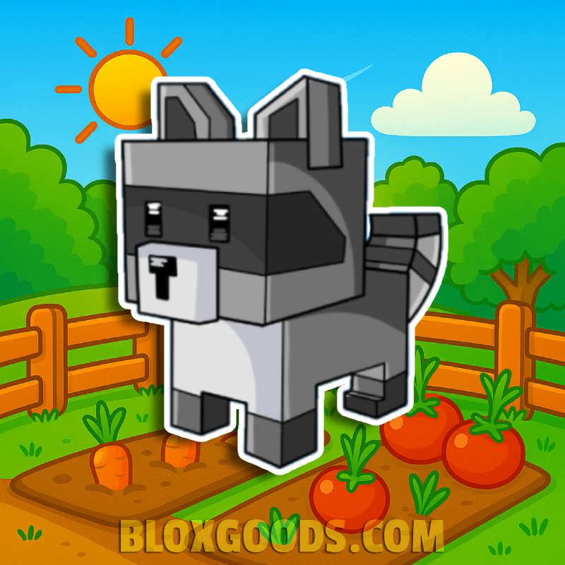 Raccoon